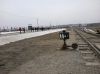 W Birkenau.
