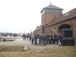 Zwiedzanie części Muzeum obozu koncentracyjnego Auschwitz w Brzezince